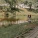 Energetic border collie joyfully runs along a scenic riverside pathway on a sunny day.
